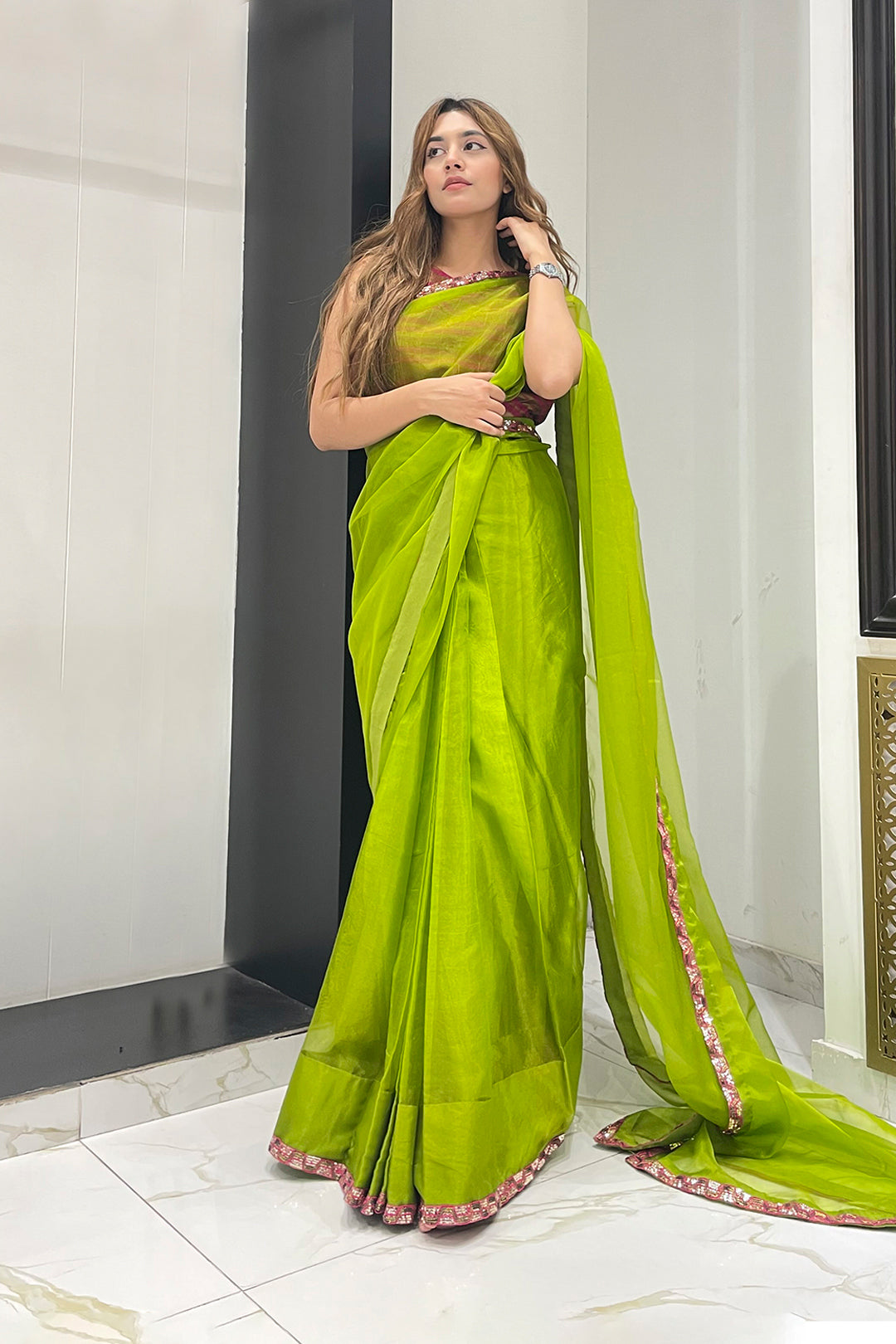 Organza Luxury Saree | SR202315