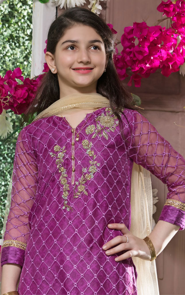 Hand Work Embroidered Organza Gharara Suit | SS18 | G1333