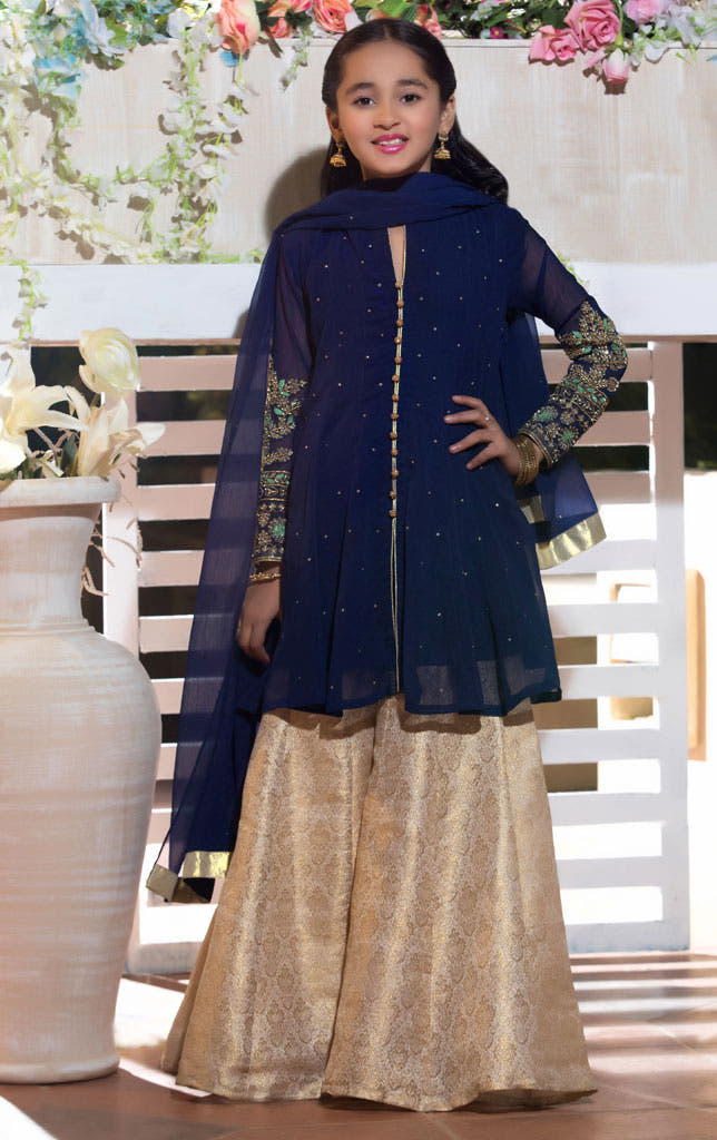 Embroidered Chiffon Plazo Suit | WC1718 | P1342 - SANA'S