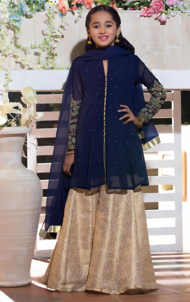 Embroidered Chiffon Plazo Suit | WC1718 | P1342 - SANA'S