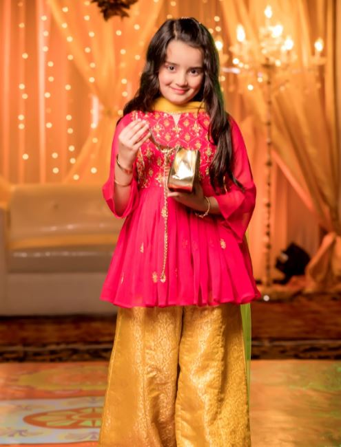 SANA'S red embroidered chiffon plazo suit Pakistan occasion wear