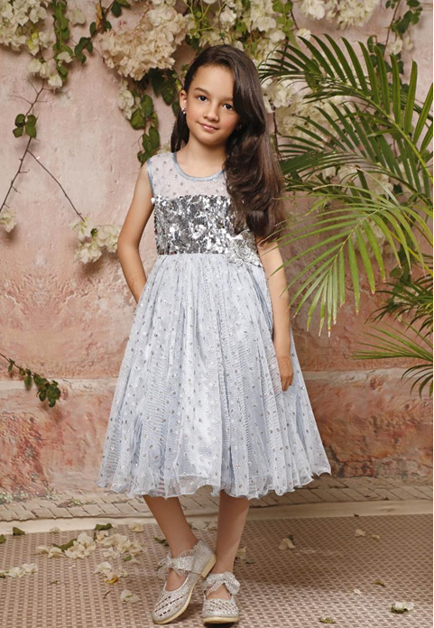 Sequins Net Frock | EG17 | F2071