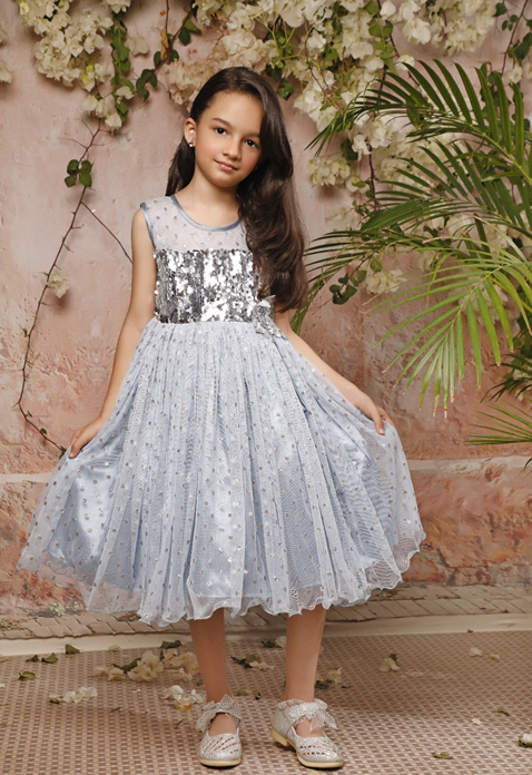 Sequins Net Frock | EG17 | F2071