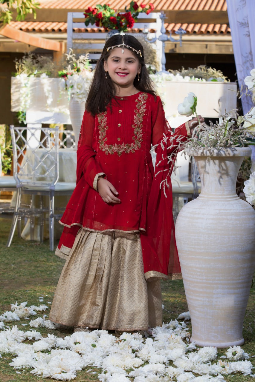 Embroidered Chiffon Gharara Suit | WC1718 | NG687 - SANA'S