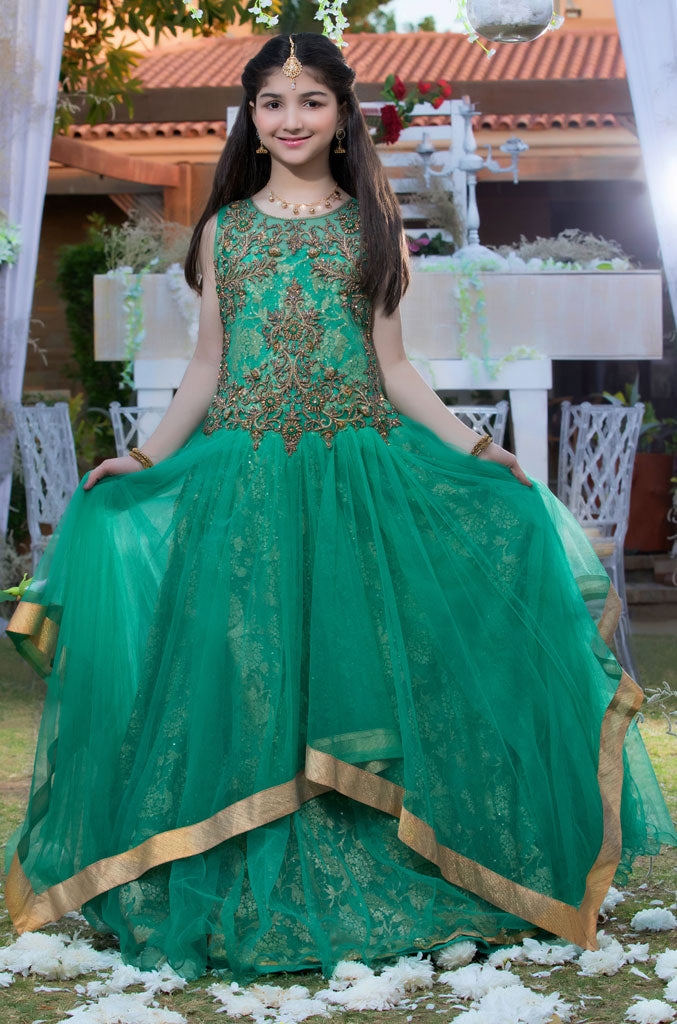 Antique Stone Embroidered Net Maxi | WC1718 | M684 - SANA'S
