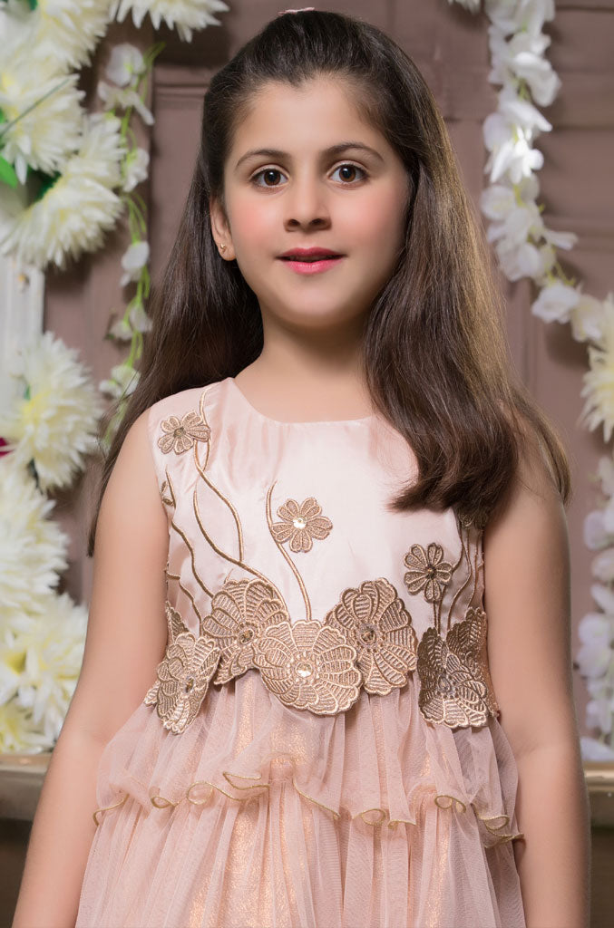 Embroidered Floral Taffeta Net Frock | SS18 | F964