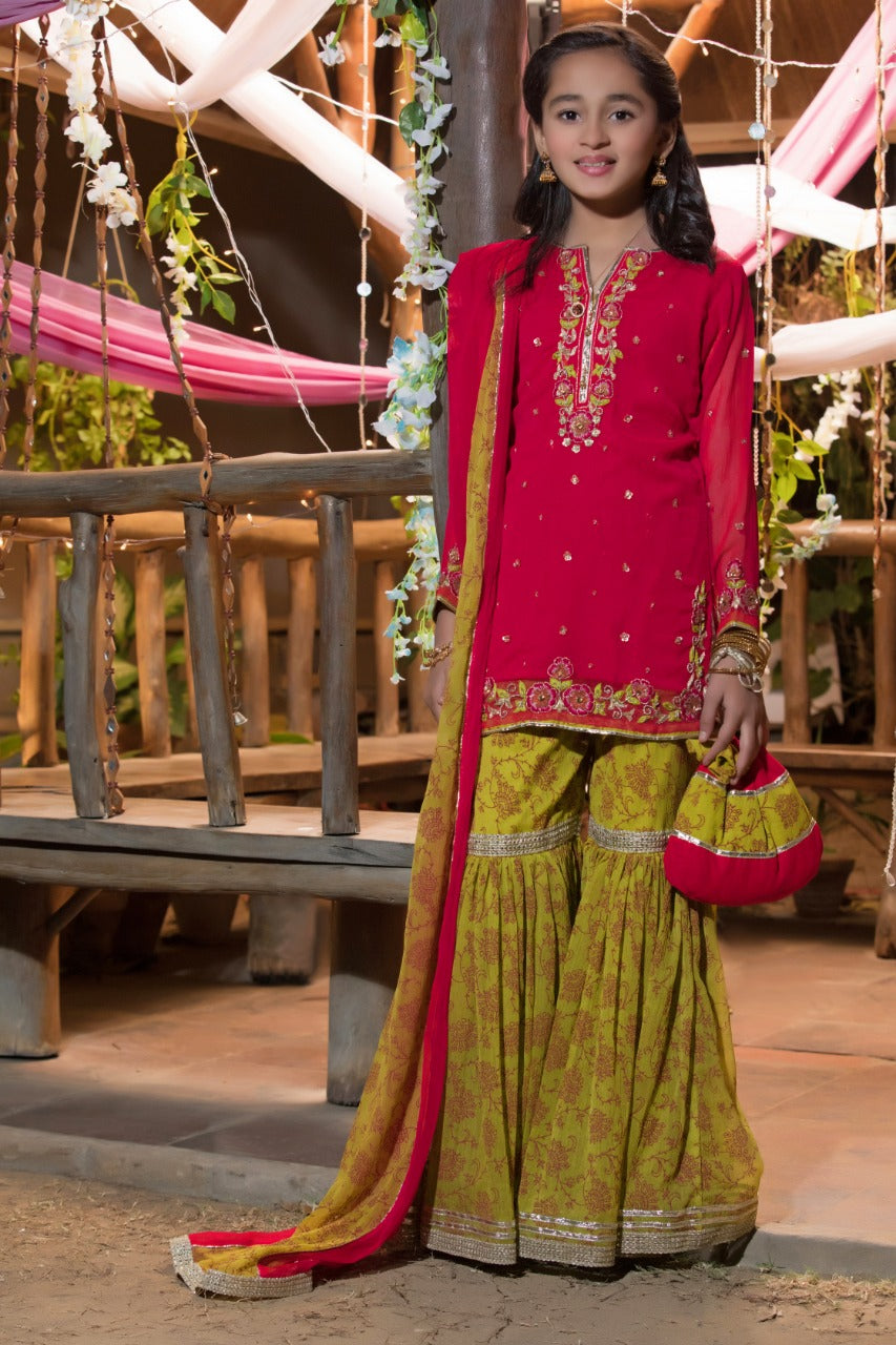 Handwork Embroidered Chiffon Gharara Suit | WC1718 | G697 - SANA'S