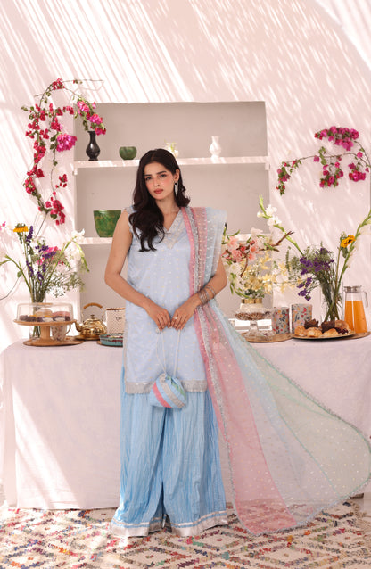 Organza Lorex & Cotton Crush Plazo Suit | ZEB | P123289