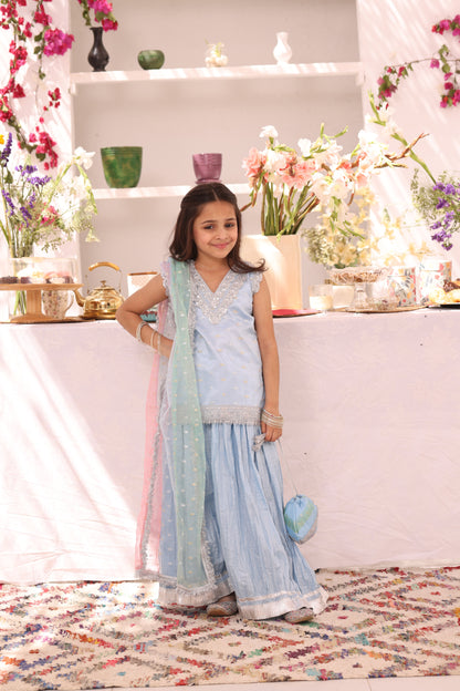 Organza Lorex & Cotton Crush Plazo Suit | ZEB | P3289