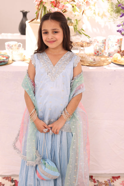 Organza Lorex & Cotton Crush Plazo Suit | ZEB | P3289