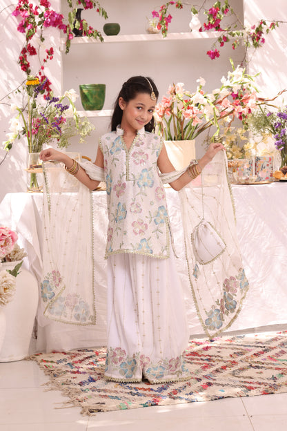 Embroidered Bamber Chiffon Plazo Suit | ZEB | P3287