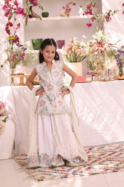 Embroidered Bamber Chiffon Plazo Suit | ZEB | P3287