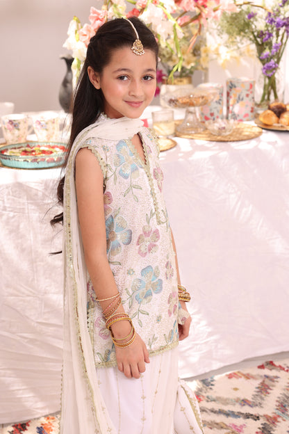 Embroidered Bamber Chiffon Plazo Suit | ZEB | P3287