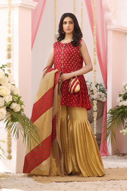 Peplum Style Gharara Suit | TEHWAAR | G123159