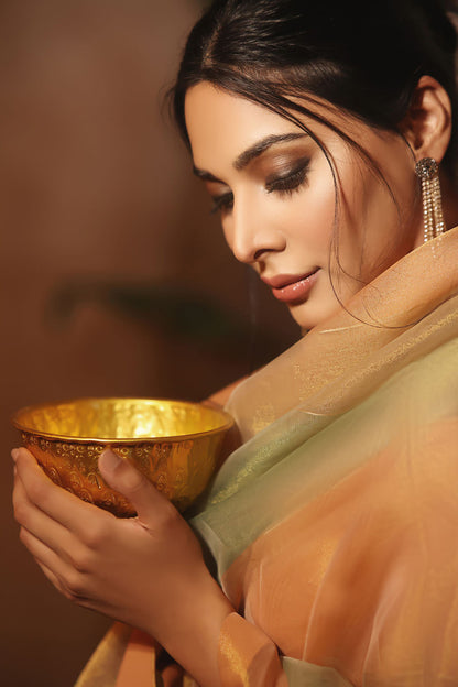 Multi Tone Organza Saree | NIKHAAR| SR202293