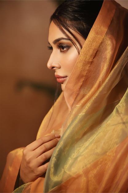 Multi Tone Organza Saree | NIKHAAR| SR202293