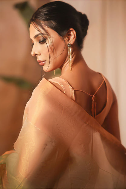 Multi Tone Organza Saree | NIKHAAR| SR202293