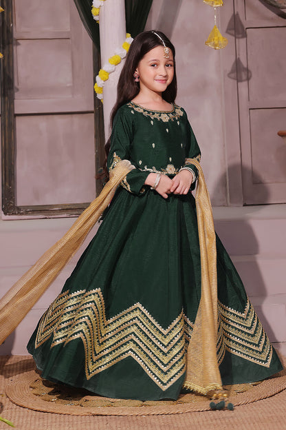 Handwork Embroidered Lehenga Choli | SHENDI | L3195