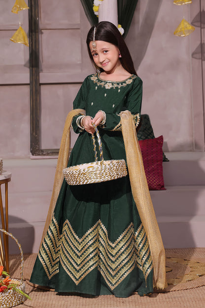 Handwork Embroidered Lehenga Choli | SHENDI | L3195