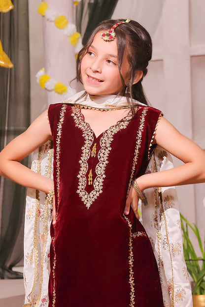 Aari Embroidery Velvet Gharara Suit | SHENDI | G3205