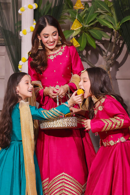Handwork Embroidered Lehenga Choli | SHENDI | L3195