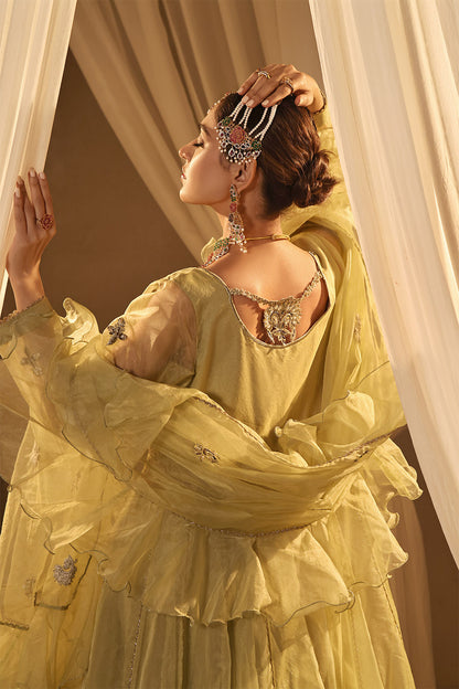 Organza Embroidered Kalidar Long Maxi | New Arrivals | M202301