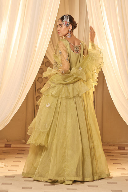 Organza Embroidered Kalidar Long Maxi | New Arrivals | M202301