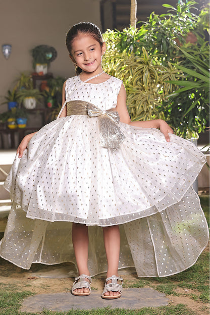 Organza Lorex Fancy Frock | New Arrivals | F2339