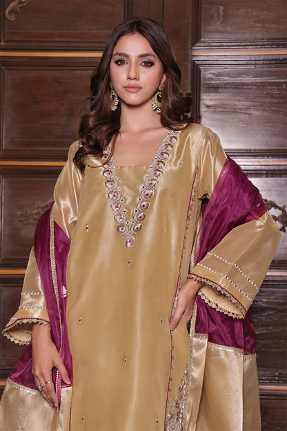 Bocade Organza 3pc Suit | S202371