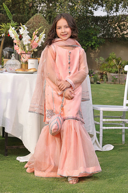Lorex Embroidered Gharara Suit | New Arrivals | G3223 & G123223