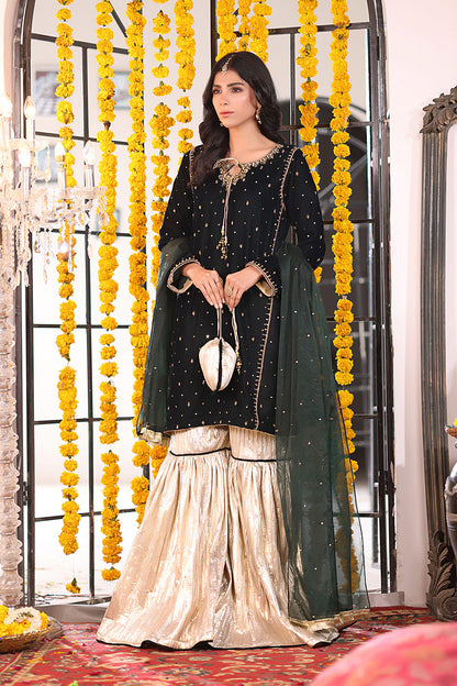Handwork Embroidered Velvet Gharara Suit | SEHNDI | G123277