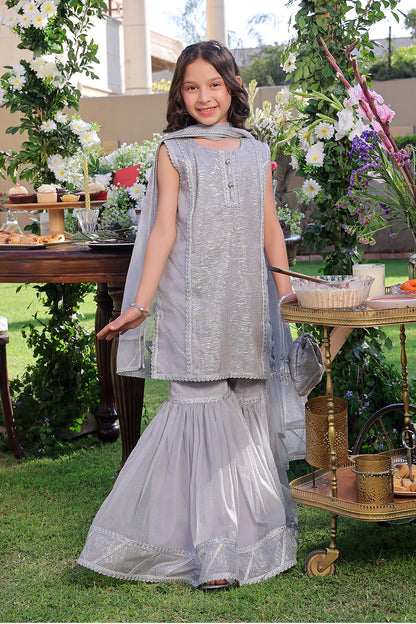 G3255 Gray