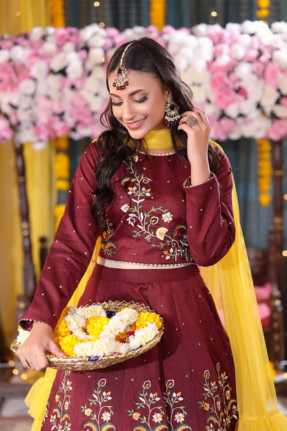 Resham Embroidered Raw Silk Lehenga Choli | SHENDI | L123274