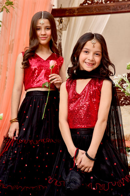 Sequins & Net Lehenga Choli | SHENDI | L3190 & L123190