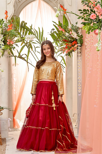 Sequins & Net Lehenga Choli | SHENDI | L3192 & L123192