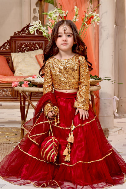 Sequins & Net Lehenga Choli | SHENDI | L3192 & L123192