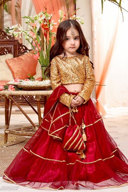 Sequins & Net Lehenga Choli | SHENDI | L3192 & L123192