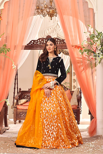 Velvet & Organza Lorex Lehenga Choli | SHENDI | L123196
