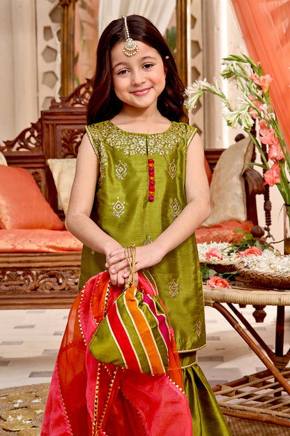 Lorex Embroidered Gharara Suit | SHENDI | G3161