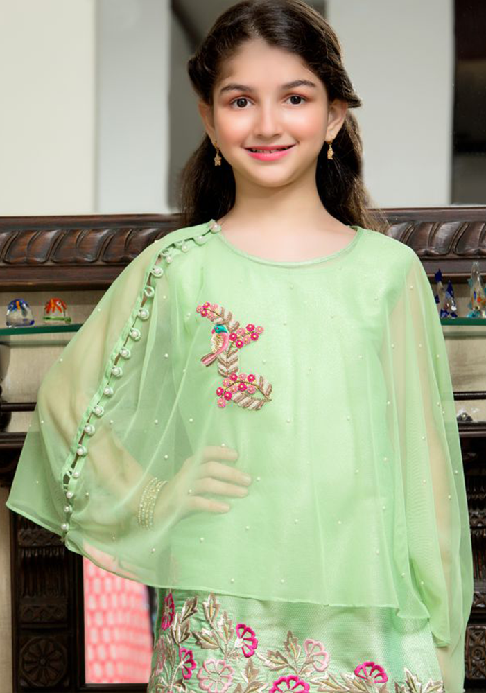 Embroidered Cape Style Gharara Suit | GFC16 | G679 - SANA'S