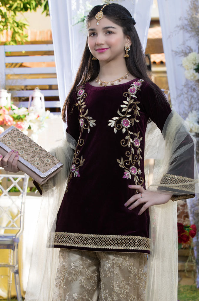 Handwork Embroidered Velvet Plazo Suit | WC1718 | P1326 - SANA'S