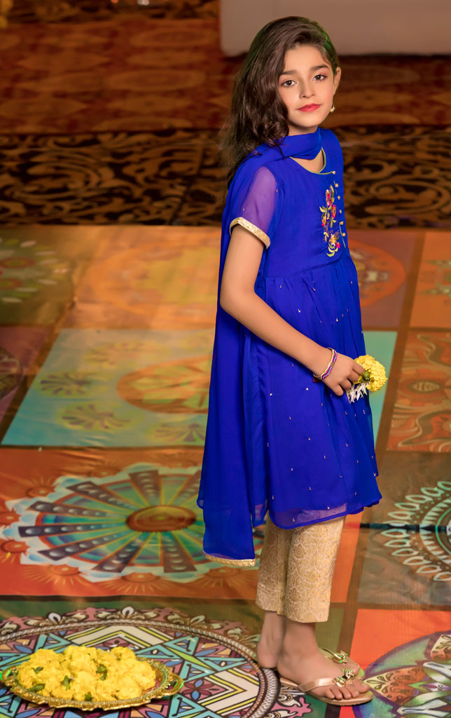 Embroidered Chiffon 3pc Suit | FW18 | S1351 - SANA'S