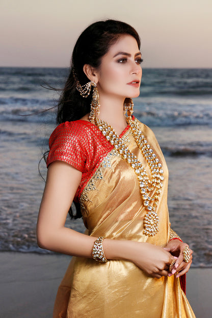 Mirror Embroidered Organza Brocade Saree | SIRA | SR202057