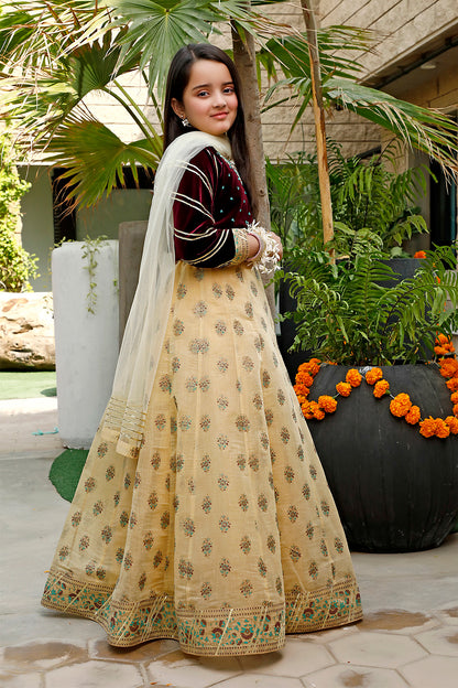 Mirror Embroidered Velvet Cotton Printed Lehenga Choli | WC1920 | L3031