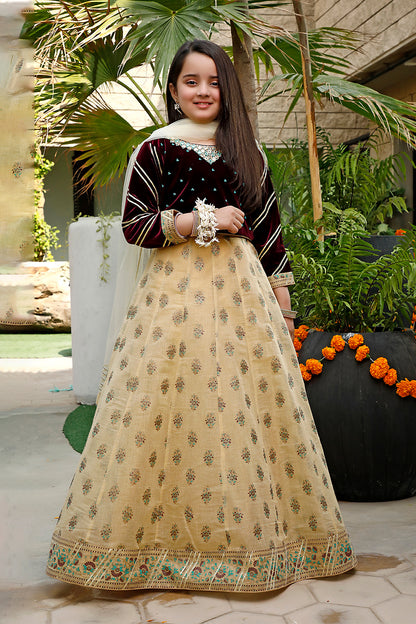 Mirror Embroidered Velvet Cotton Printed Lehenga Choli | WC1920 | L3031