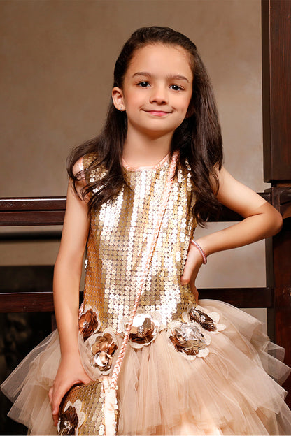 Sequins Net Layered Tutu Style Frock | WC1920 | F2084