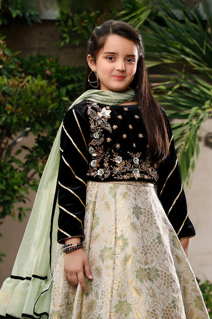 Handwork Embroidered Velvet Banarsi Lehenga Choli | WC1920 | L3100