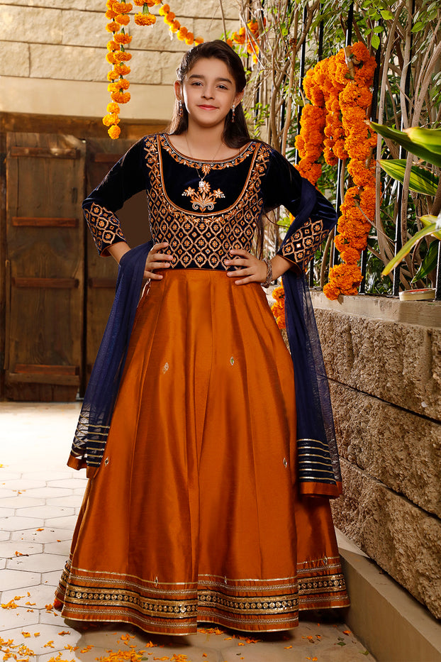 Mirror Zari Embroidered Velvet Raw Silk Lehenga Choli WC1920 L3021