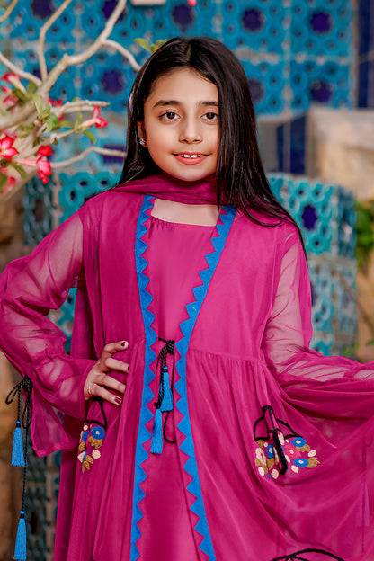 Umbrella Embroidered Net Front Open 3pc Suit | Eid Affairs | S1360