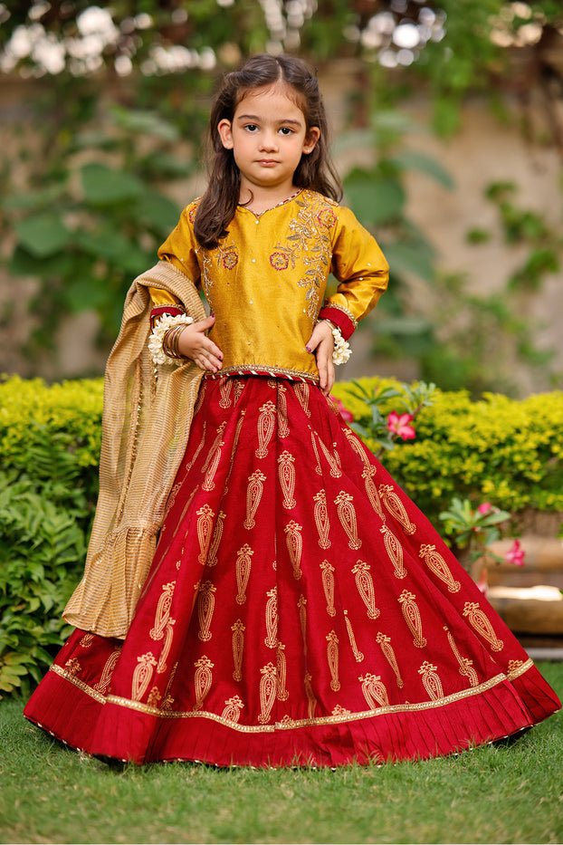 Lehenga for eid hotsell